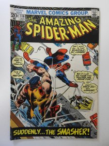 The Amazing Spider-Man #116 (1973) VG Condition