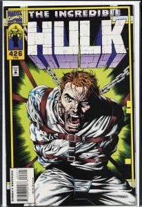 The Incredible Hulk #426 (1995) Hulk