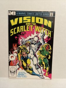 The Vision And The Scarlet Witch Volume 1 #2