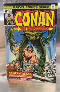 Conan the Barbarian #43 (1974)