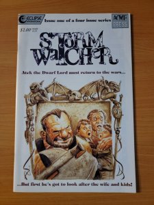 Stormwatcher #1 ~ NEAR MINT NM ~ 1989 Eclipse Comics