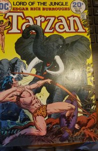 Tarzan #229 (1974)