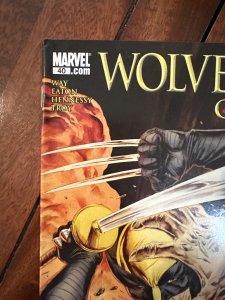 Wolverine: Origins #40 (2009)