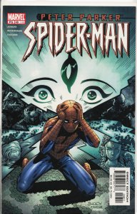 Peter Parker: Spider-Man #48 (2002)