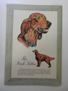 Lassie #27 (1956) FN/VF Condition!