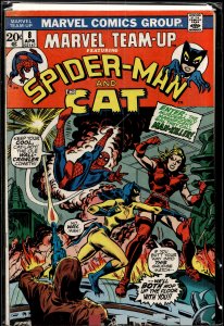 Marvel Team-Up #8 (1973) The Cat