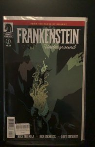Frankenstein Underground #2 (2015)