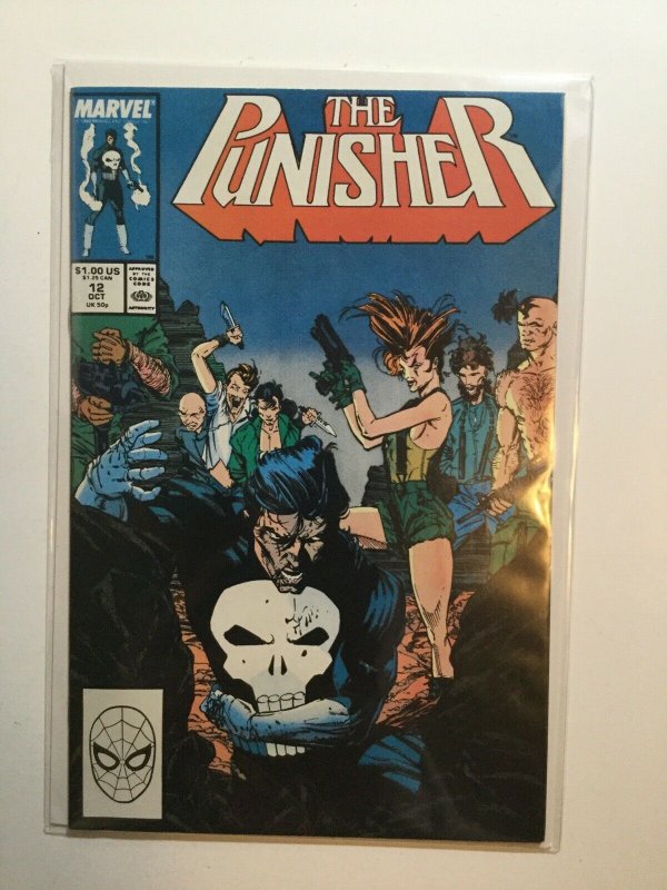 Punisher 12 Near Mint Nm Marvel