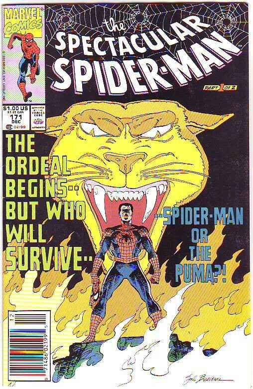 Spider-Man, Peter Parker Spectacular #171 (Feb-91) NM/NM- High-Grade Spider-Man