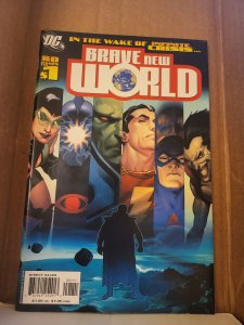 DCU: Brave New World (2006)
