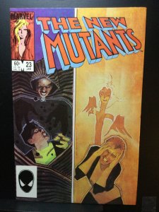The New Mutants #23 (1985)