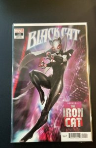 Black Cat #12 Variant Cover (2020)