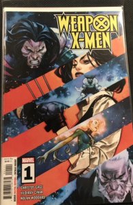 Weapon X-Men #1 (2024)