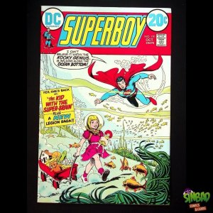 Superboy, Vol. 1 191