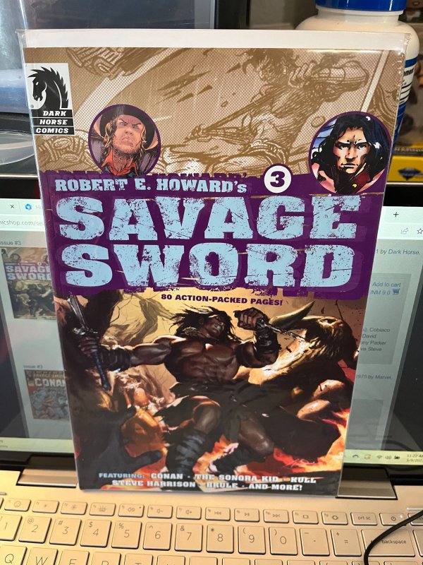 Robert E. Howard's Savage Sword #3 (2011)