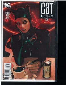 Catwoman #56 (DC, 2006) NM - Adam Hughes