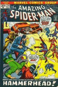 Amazing Spider-Man (1963 series)  #114, Fine (Stock photo)