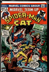 Marvel Team-Up #8 (1973) The Cat