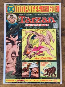 Tarzan #234 (1975). FN/VF. 100 Pages. Kubert-a. Tarzan & The Lion Man.
