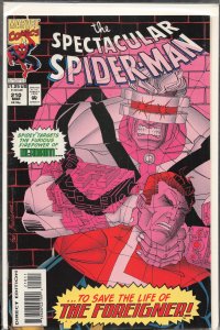 The Spectacular Spider-Man #210 (1994) Spider-Man