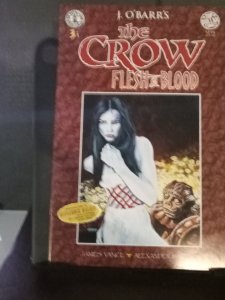 The Crow: Flesh and Blood #3 (1996)