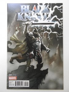Black Knight #1 Incentive Eric Powell Variant (2016) Beautiful NM- Condition!