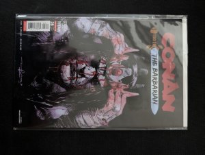 Conan the Barbarian (Titan Comics), 28A, Titan Comics, 2026