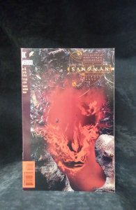 The Sandman #66 (1995)