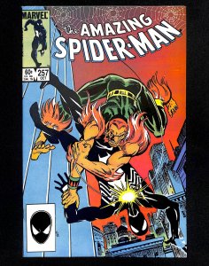 Amazing Spider-Man #257