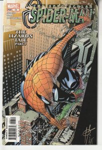 Spectacular Spider-Man #13  (2004)