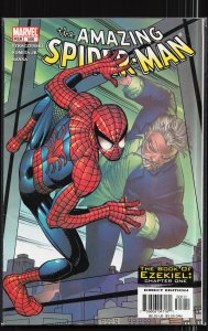 The Amazing Spider-Man #506 (2004)