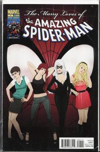 Many Loves Of The Amazing Spider-Man (2010)