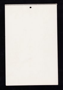 Playboy 1973 Playmate Calendar - FN+