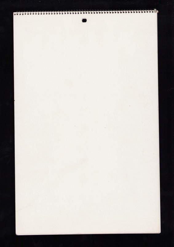 Playboy 1973 Playmate Calendar - FN+