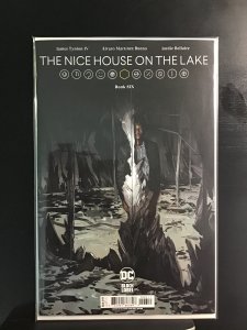 The Nice House On The Lake Book 6