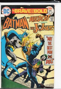 The Brave and the Bold #118 (1975) Wildcat