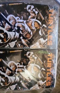 Teenage Mutant Ninja Turtles #2 set of 2 one signed