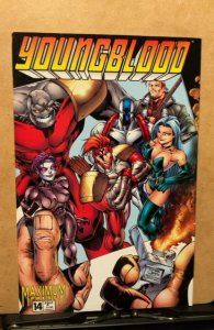 Youngblood #14 (1996)