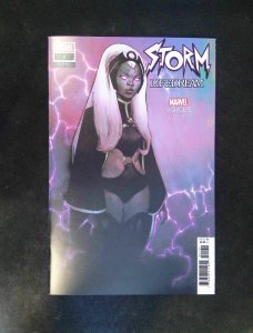 Storm Lifedream #1C  Marvel  Comics 2025 NM+  Coipel Variant