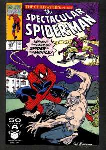The Spectacular Spider-Man #182 (1991)