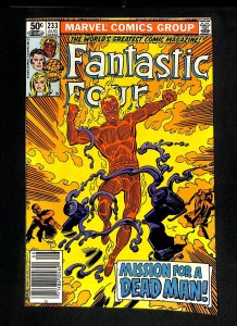 Fantastic Four #233 Newsstand Variant