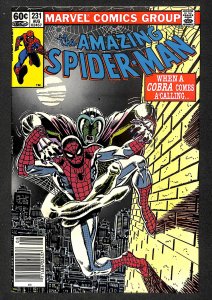 The Amazing Spider-Man #231 (1982)