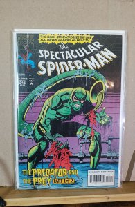 The Spectacular Spider-Man #215 (1994)