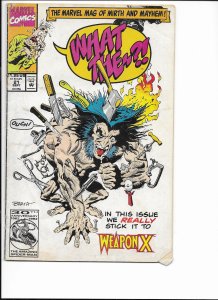 What The--?! #21 (1992)