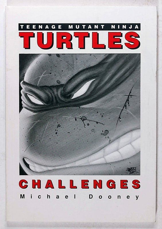 Teenage Mutant Ninja Turtles Challenges (1991)