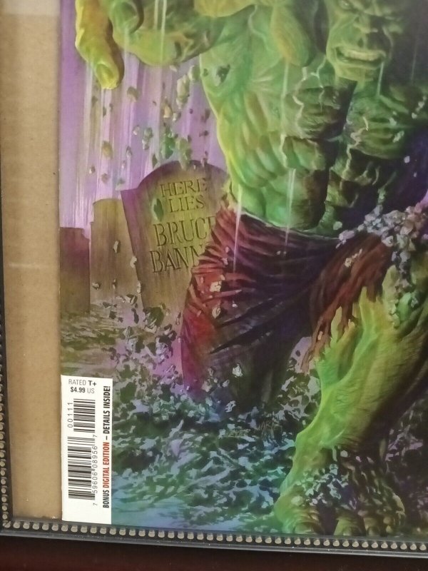 Immortal Hulk #1 - MARVEL - 9.4 -  1st App Jackie McGee, Alex Ross Cover N163