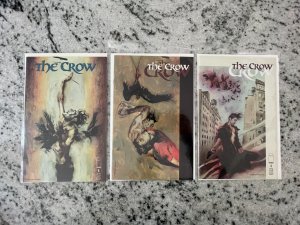 Lot Of 3 The Crow Image Comic Books # 4 5 6 NM 1st Prints 17 J223