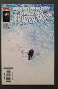 The Amazing Spider-Man #556 (2008) Key