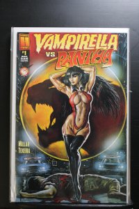 Vampirella vs. Pantha Vampirella Cover (1997)