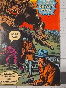 Strange Tales #175 (Marvel Comics August 1974)